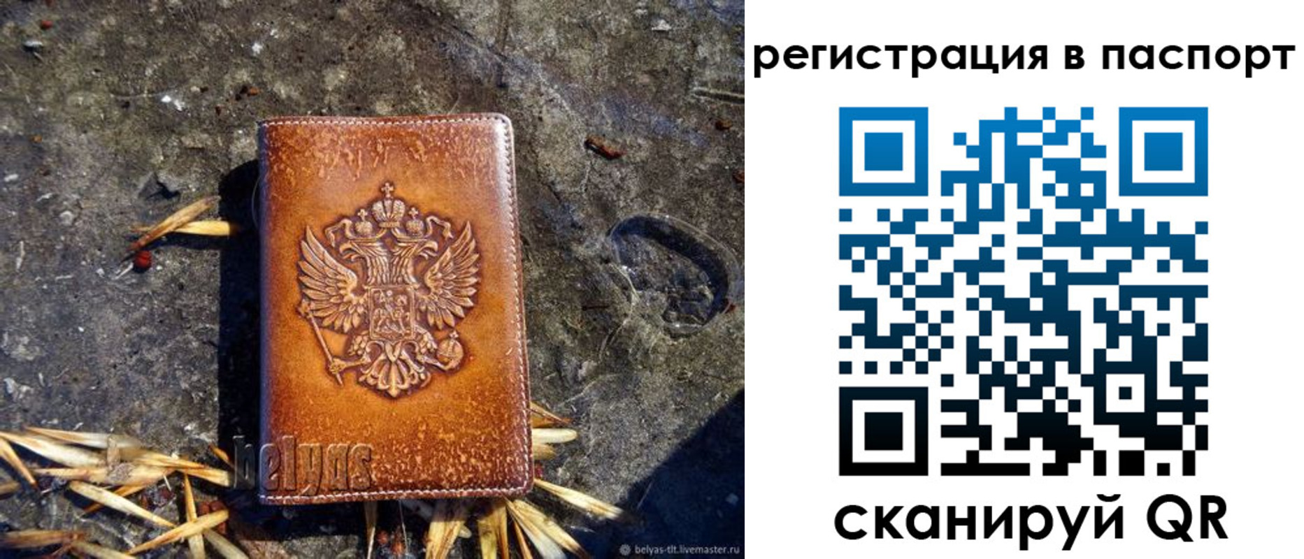 временная регистрация гарантия в Кингисеппе