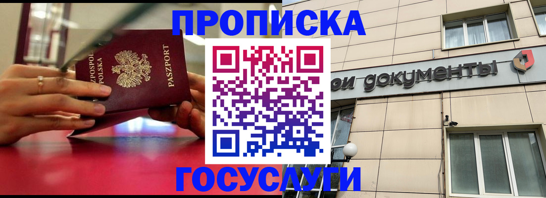 временная регистрация недорого в Кингисеппе